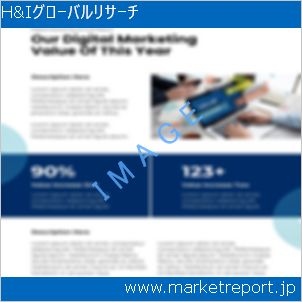 市場と産業調査レポートのイメージ